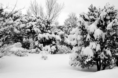 DSC_0019.JPG