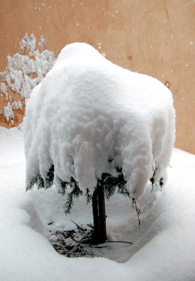 DSC_0076.JPG