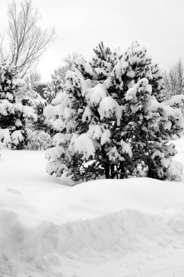 DSC_0015.JPG