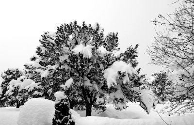 DSC_0214.JPG