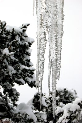 DSC_0205.JPG