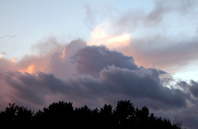 DSC_0021.JPG