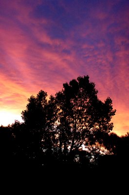 DSC_0132.JPG