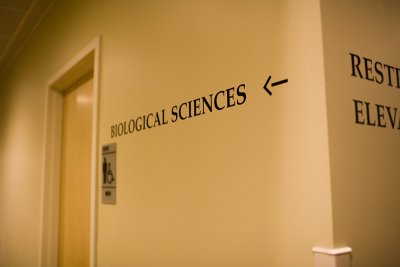 IMG_9359.jpg