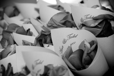 Rose petals in personalized petal cones, Photo by Erick, www.claudiaphoto.com