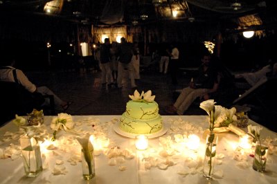 Oriental green wedding cake with sugar branches. Photo by Peter Van De Maele, www.d-eye-d.com