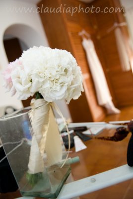 White carnations. Photo by Cilalli, www.claudiaphoto.com