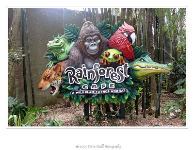 Animal Kingdom