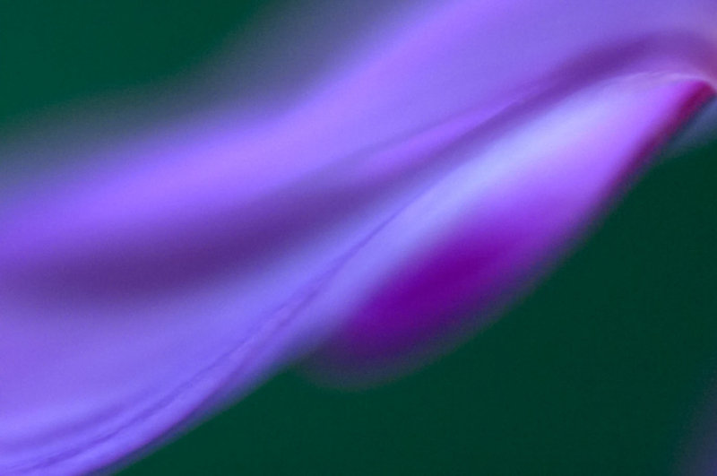 Like Silk
