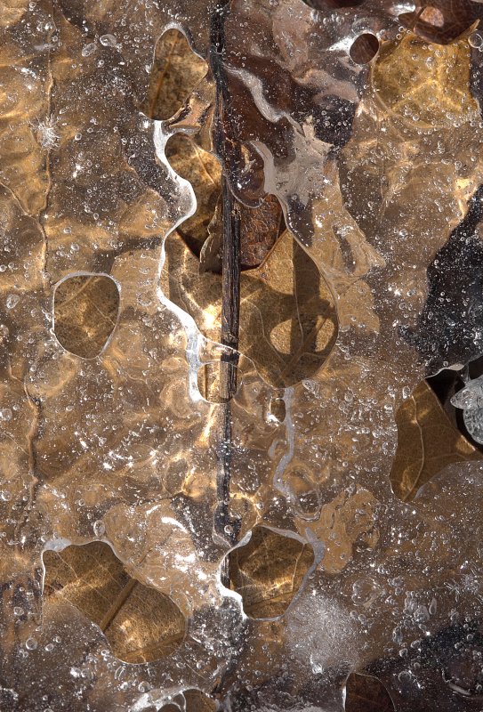 Thin Ice 3