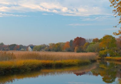 West River Marsh I