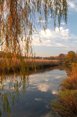 West River Marsh II