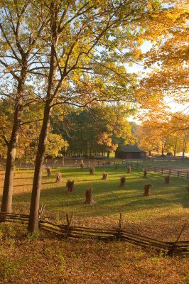 Strawberry Hollow Morning