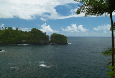 The Coast above Hilo