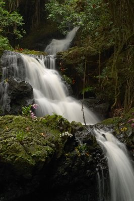 Onomea Falls