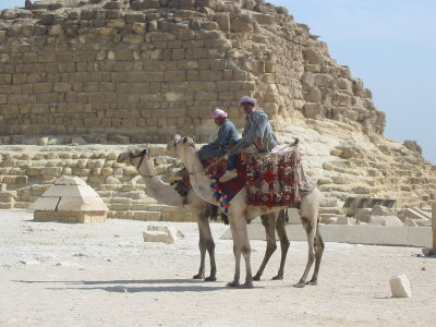 A couple camel jockeys