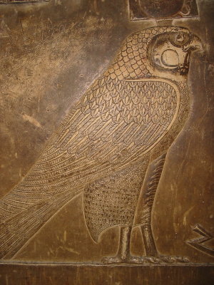 Wall art - falcon