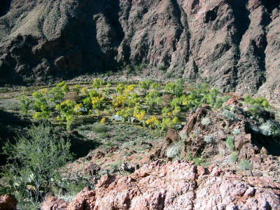 Phantom Ranch from the overlook