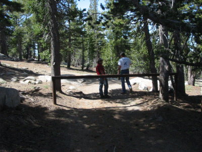 Entry to the trail