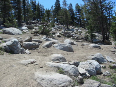 The first bumps in the road