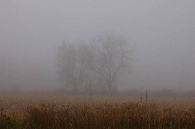December 06 005.jpg