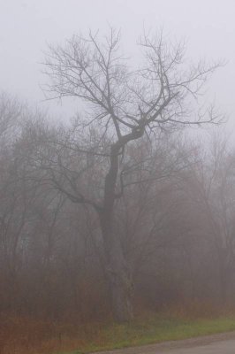 December 06 006.jpg