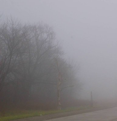 December 06 007.jpg