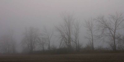 December 06 042.jpg