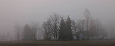 December 06 043.jpg