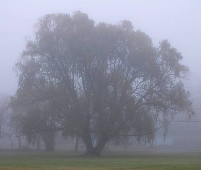 December 06 046.jpg