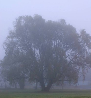December 06 047.jpg