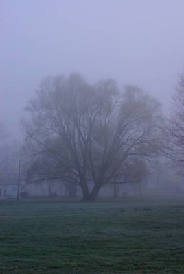 April 07 048.jpg
