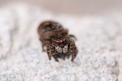 g6/80/606380/3/79860696.ksDj0bI3.jpg