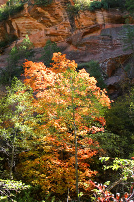 Against the Canyon Wall