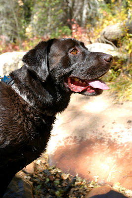 Jake Loves Water