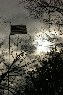 Flag and Sky