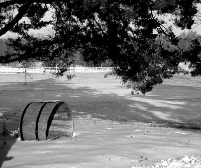 Snow Scene