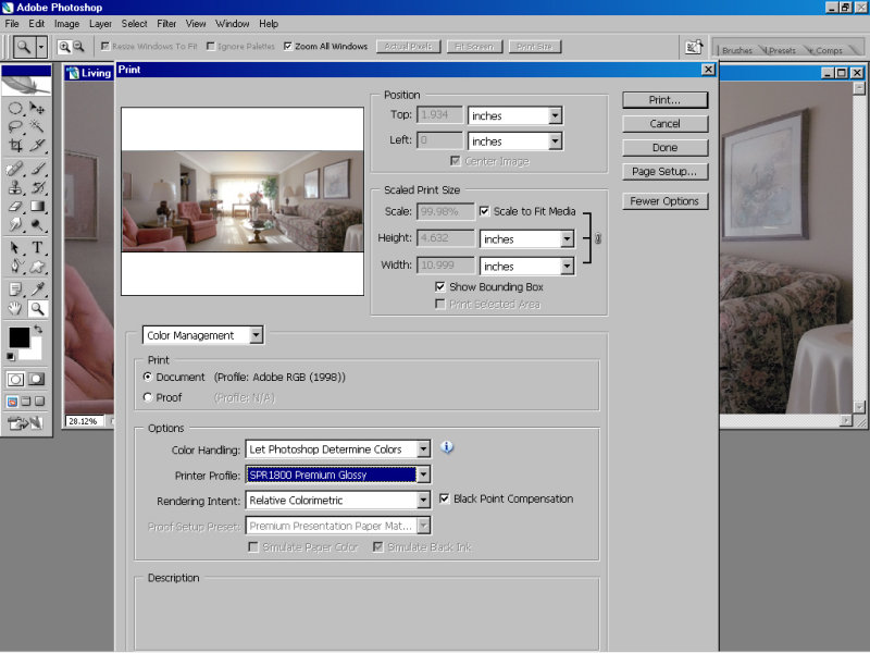 Print With Preview Setting2.jpg