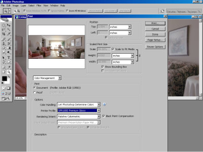Print With Preview Setting2.jpg