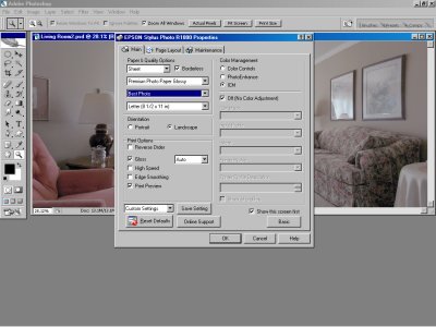 Epson Photo R1800 Printer Settings3.jpg