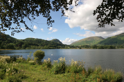 Grassmere,  Lake District,  Cumbria.