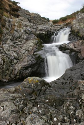 Carey's Burn,   Northumberland.