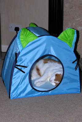 Rossi's Cat Tent