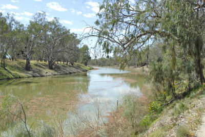 The Darling River, Bourke, NSW