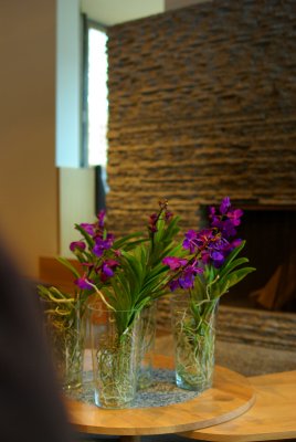 Flowers.jpg