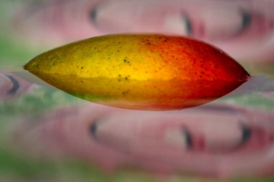 Mango in Bowl