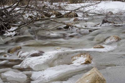 Spring Melt on Bear Creek