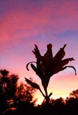 Sundown...