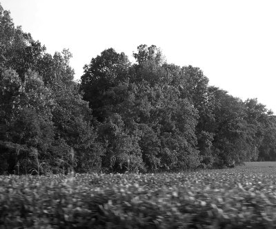 Along US 50