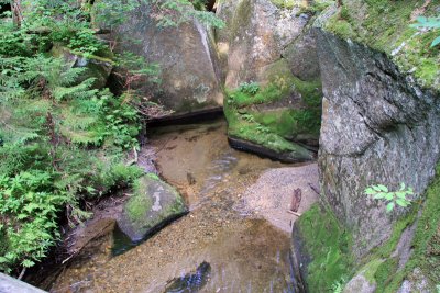 IMG_0292_edited-1.jpg